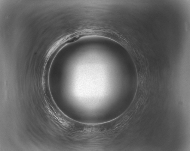 X0000086310340200703301156