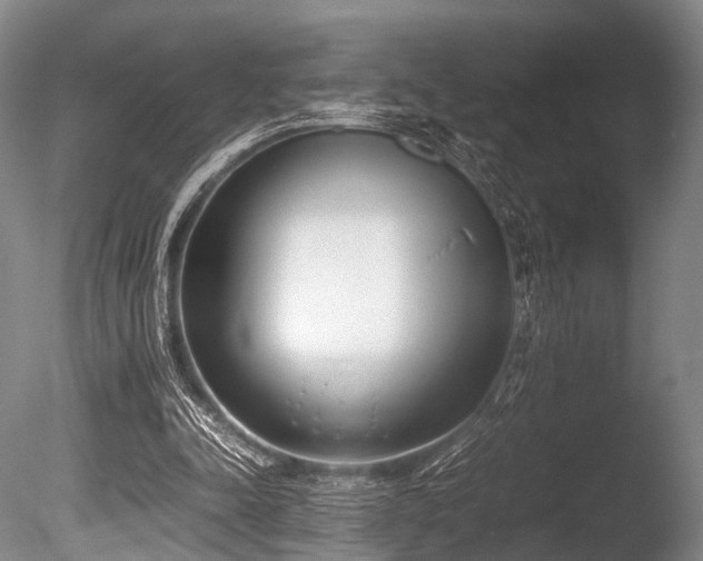 X0000086310342200703301156
