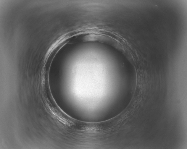 X0000086310344200703301156