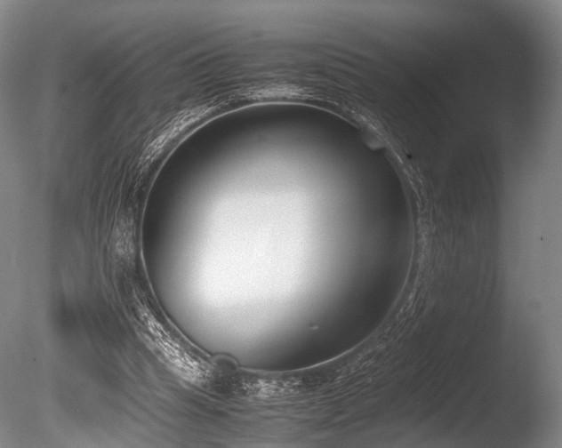 X0000086310345200703301156