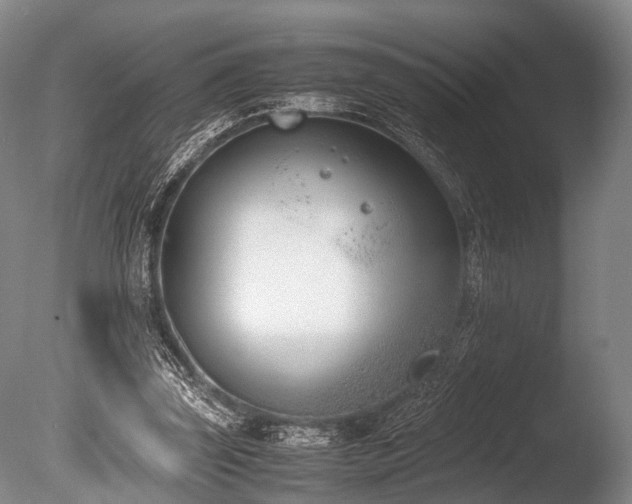 X0000086310347200703301156