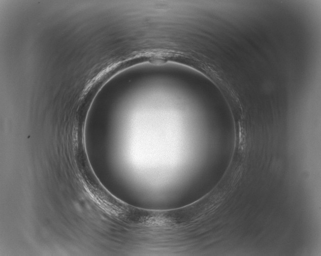 X0000086310348200703301157