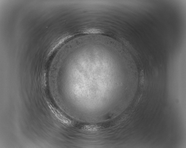 X0000086310351200703301157