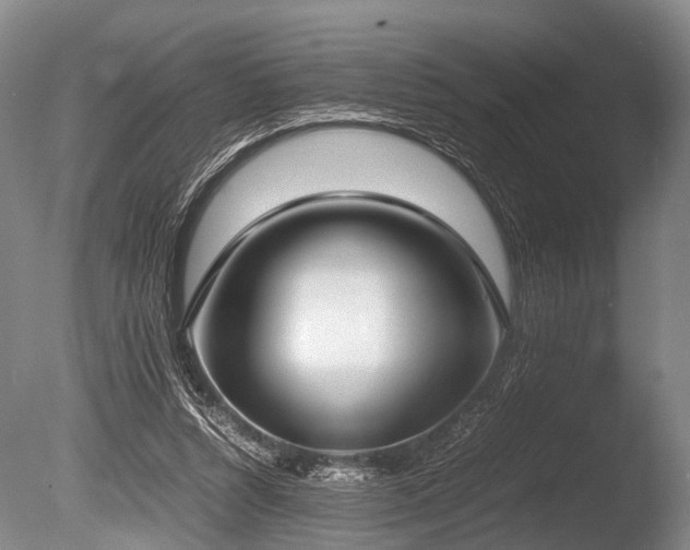 X0000086310352200703301157