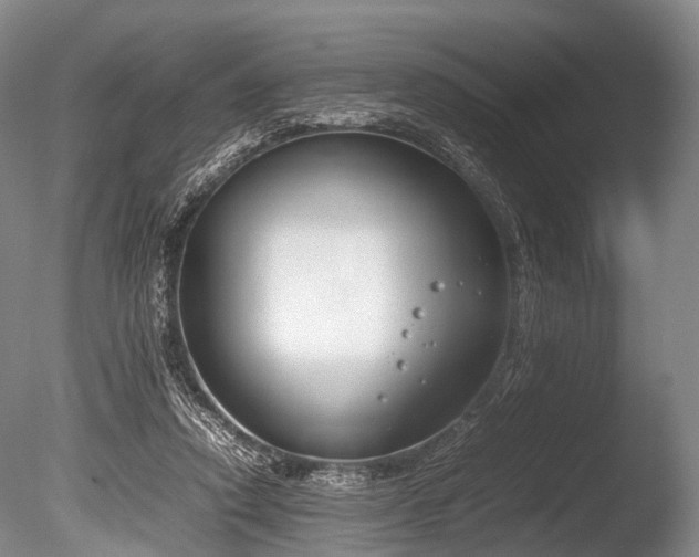 X0000086310354200703301157