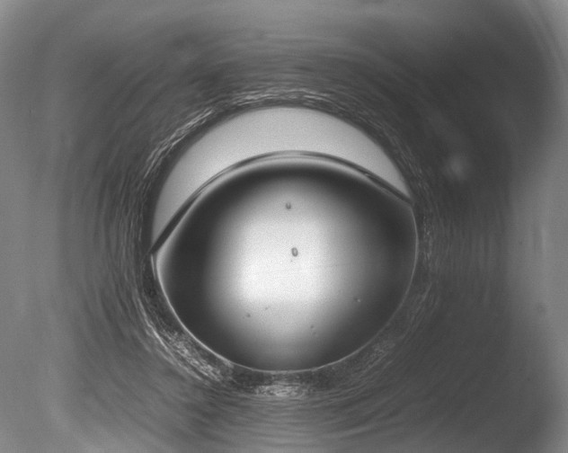 X0000086310356200703301157
