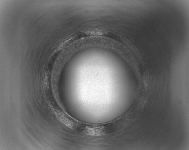 X0000086310359200703301157
