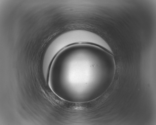 X0000086310360200703301157