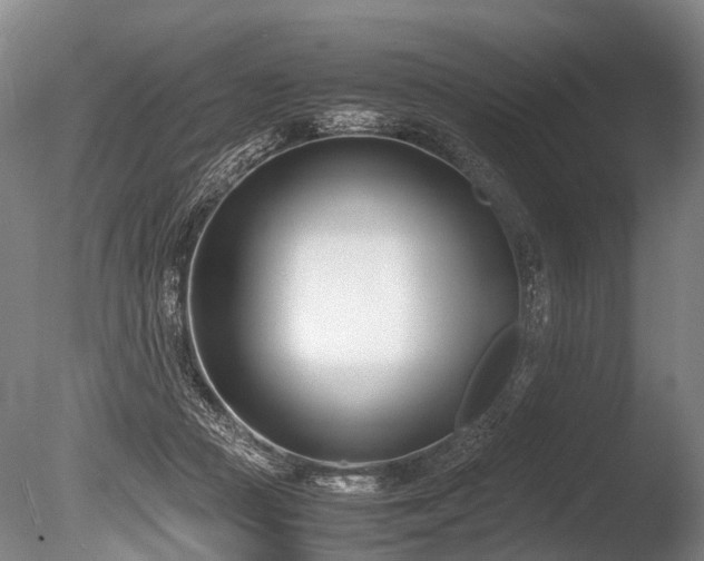 X0000086310361200703301157