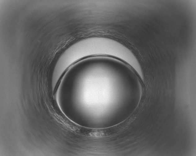 X0000086310362200703301157