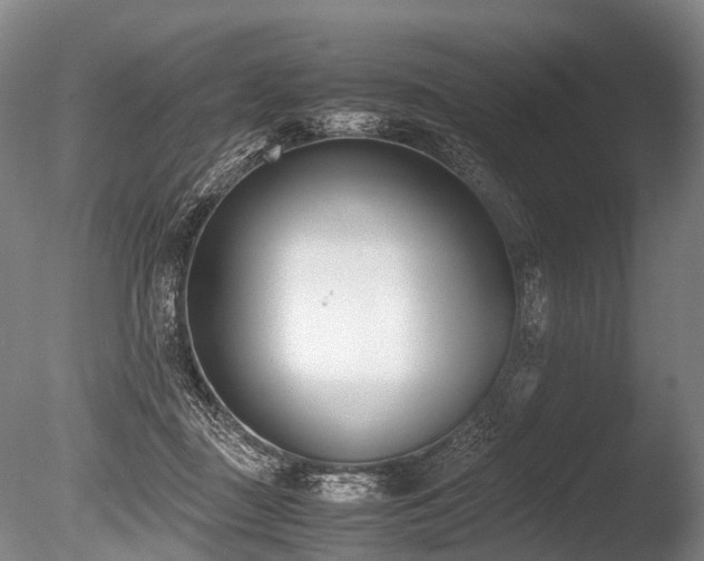 X0000086310363200703301157