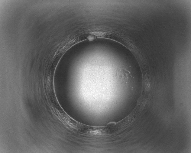X0000086310365200703301157