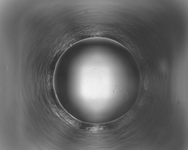 X0000086310366200703301157