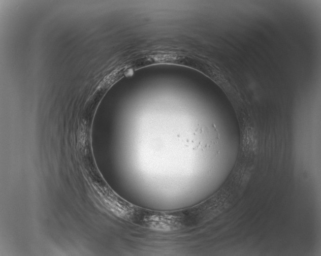 X0000086310367200703301157