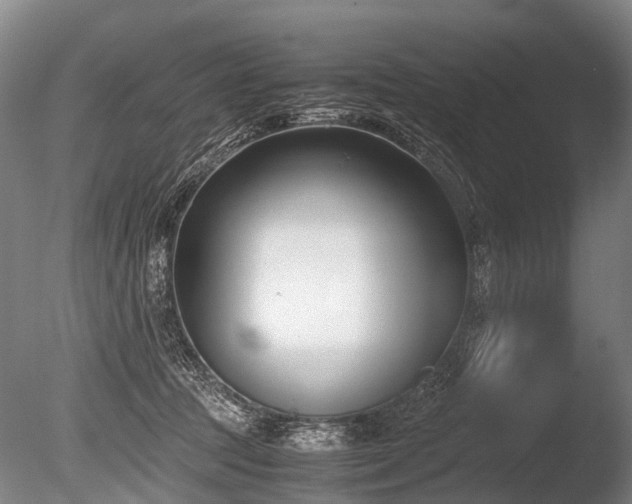 X0000086310369200703301157