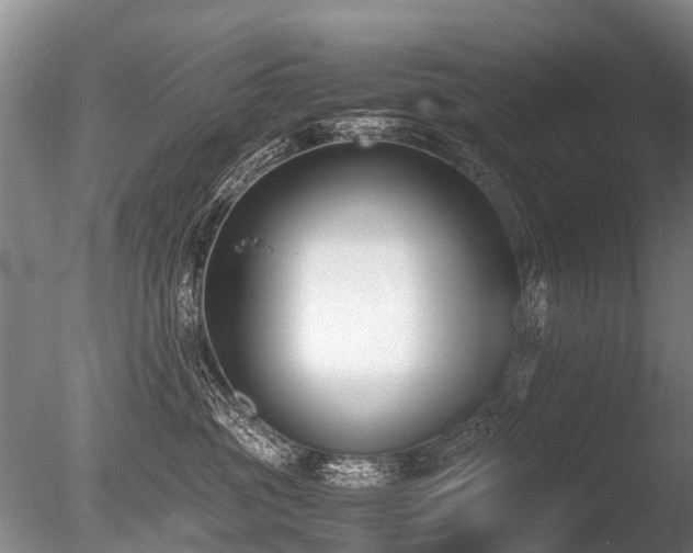 X0000086310381200703301157