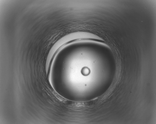 X0000086310384200703301157