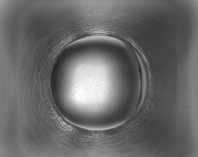 X0000086310385200703301156