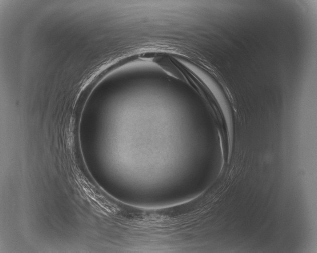 X0000086310387200703301156