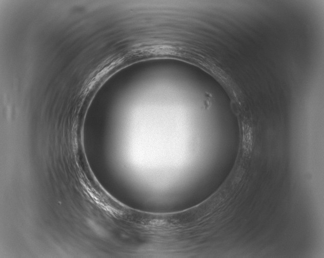 X0000086310390200703301156