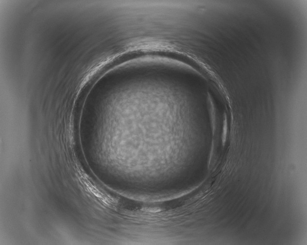 X0000086310391200703301156