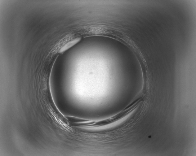 X0000086310393200703301156