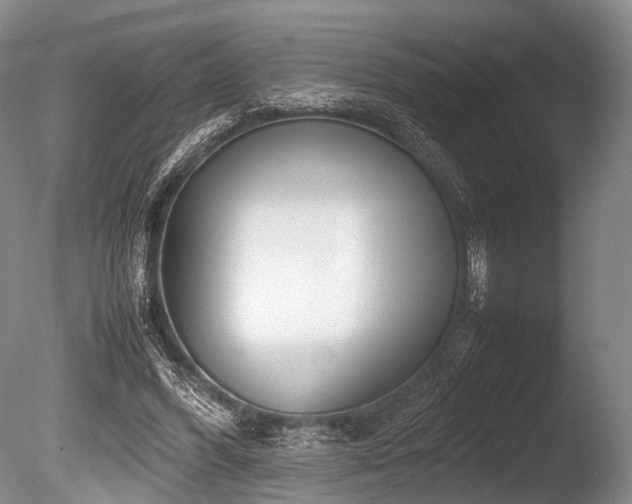 X0000086310396200703301156