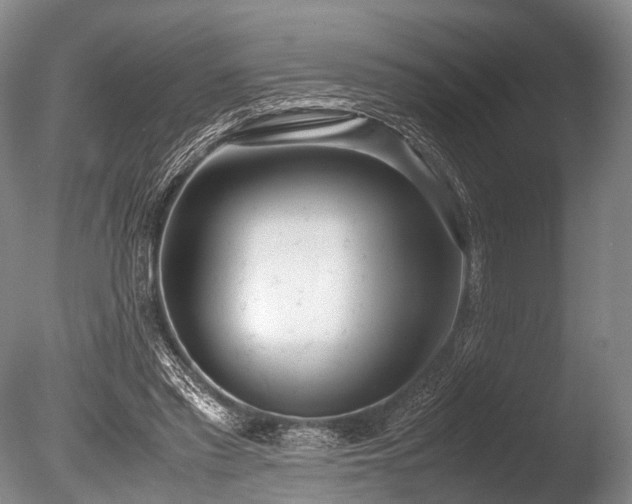 X0000086310397200703301156