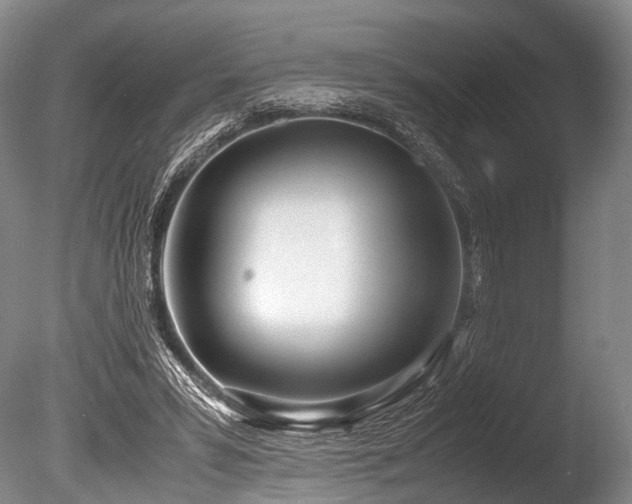X0000086310399200703301156