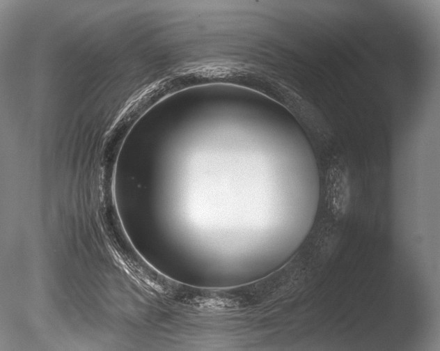 X0000086310400200703301156