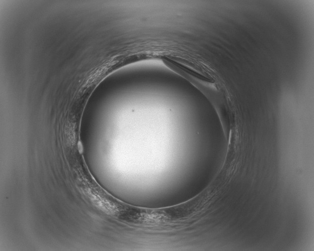 X0000086310401200703301156