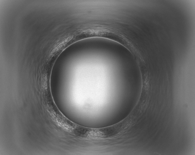 X0000086310403200703301156