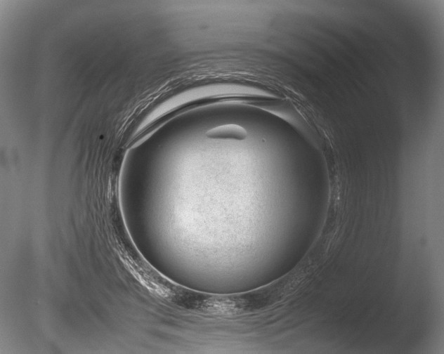 X0000086310405200703301156