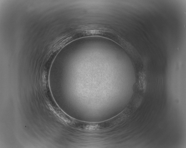 X0000086310410200703301156