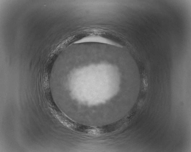 X0000086310411200703301156