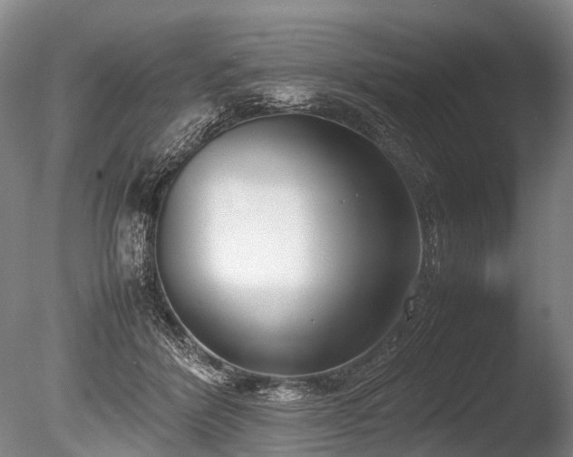 X0000086310412200703301156