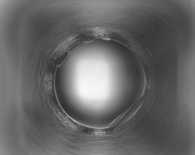 X0000086310413200703301156