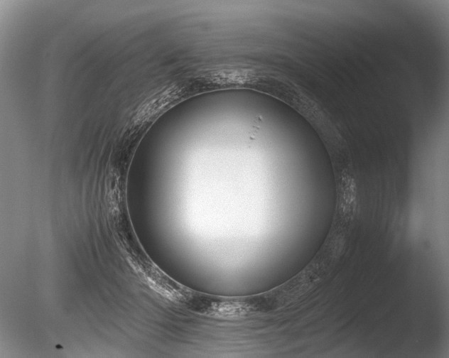 X0000086310414200703301156