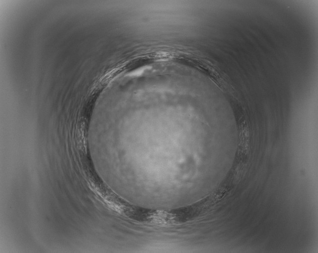 X0000086310415200703301156