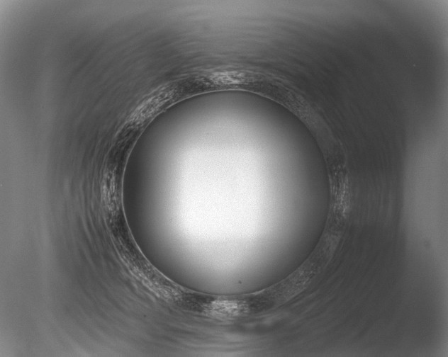 X0000086310418200703301156