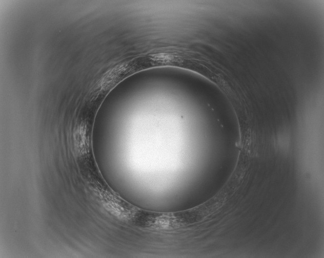X0000086310420200703301156