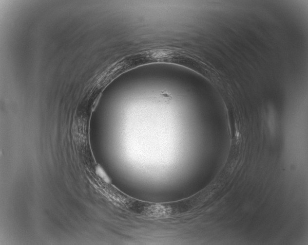X0000086310421200703301156