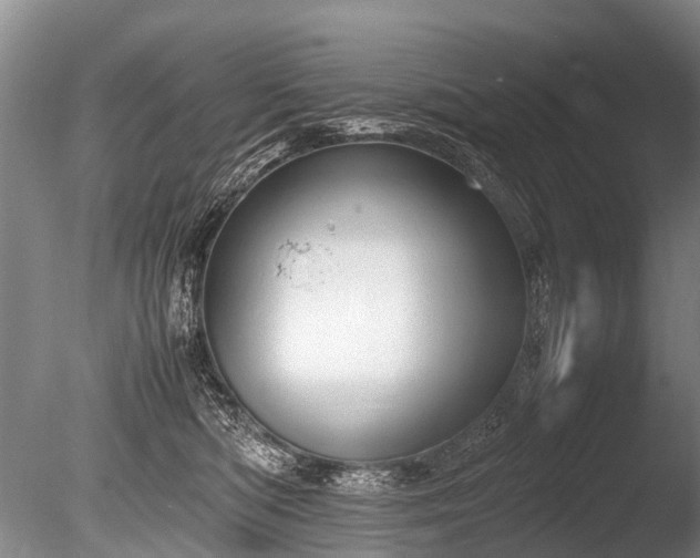 X0000086310422200703301156