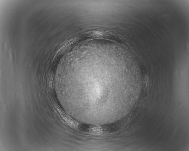 X0000086310423200703301156