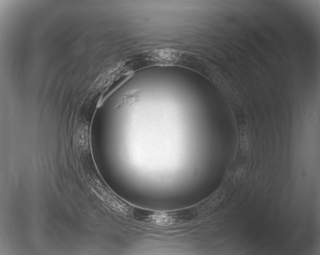 X0000086310425200703301156