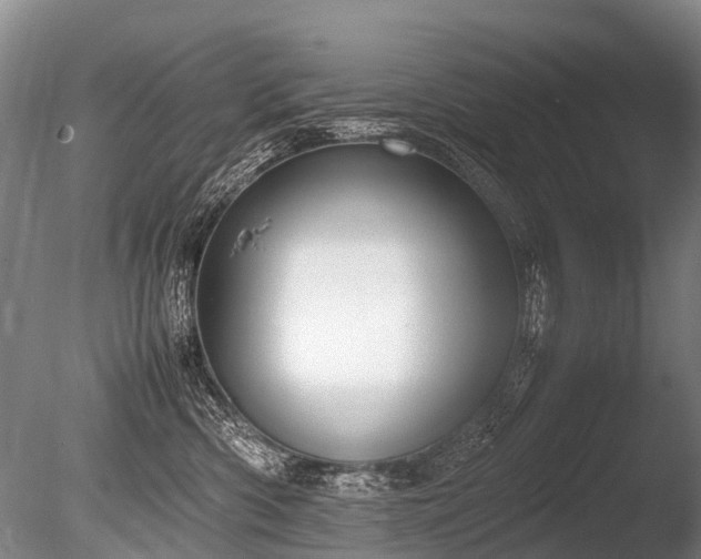 X0000086310426200703301156