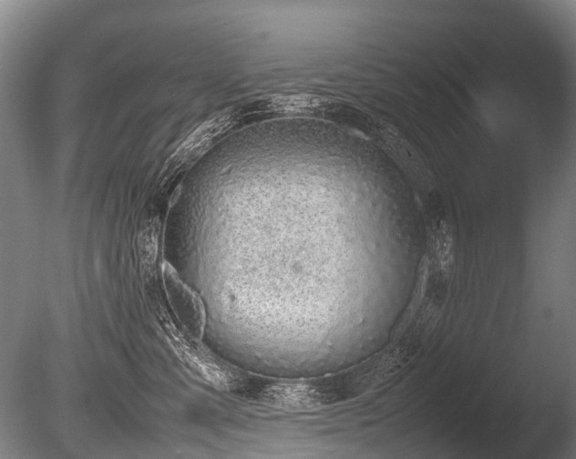 X0000086310427200703301156