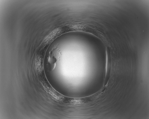 X0000086310428200703301156