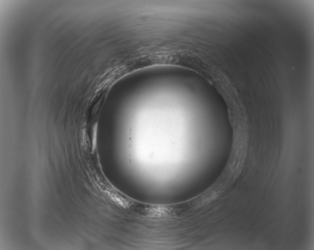 X0000086310432200703301156