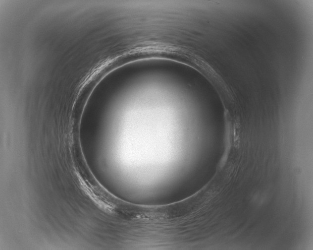 X0000086310436200703301155